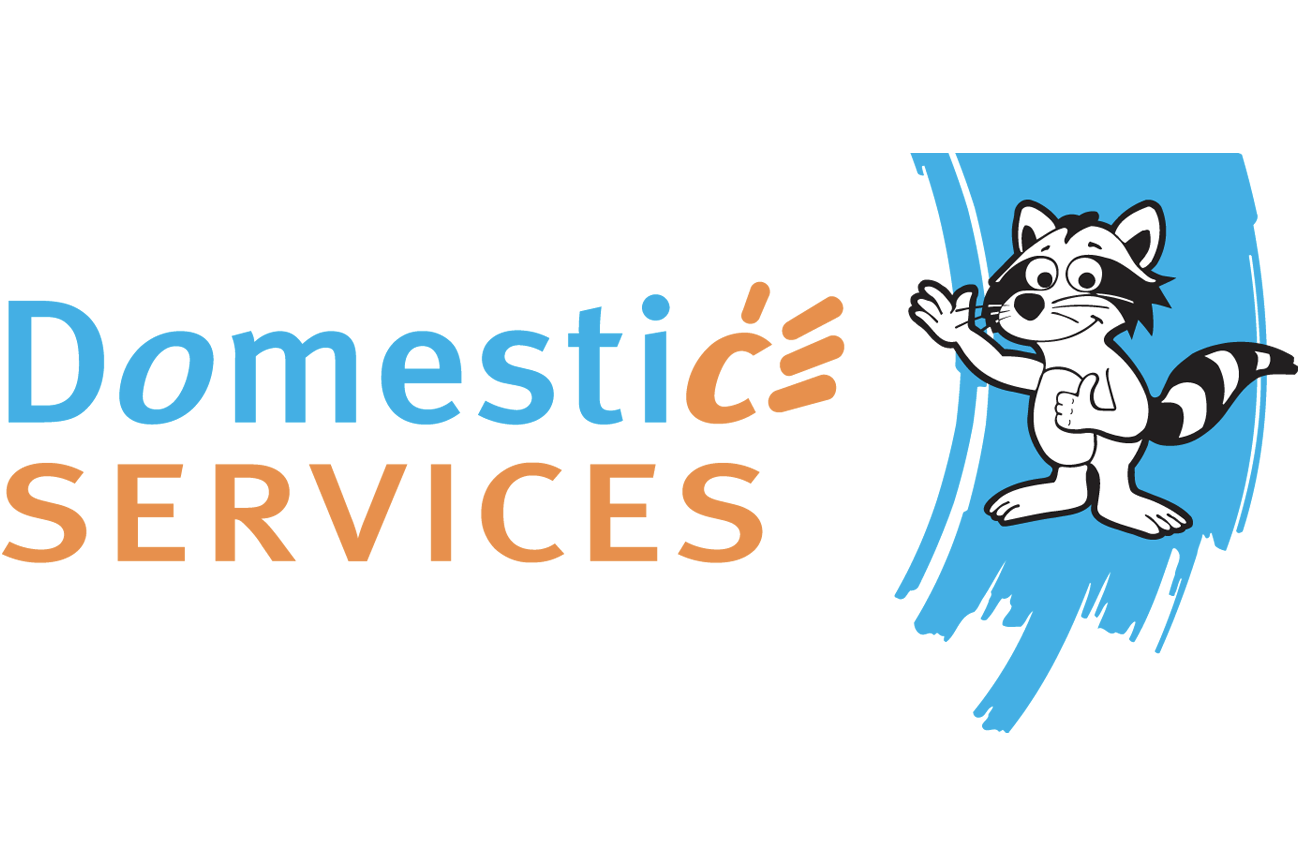 Domestic Services Jurbise - 1