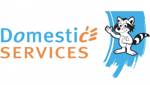 Domestic Services Courcelles