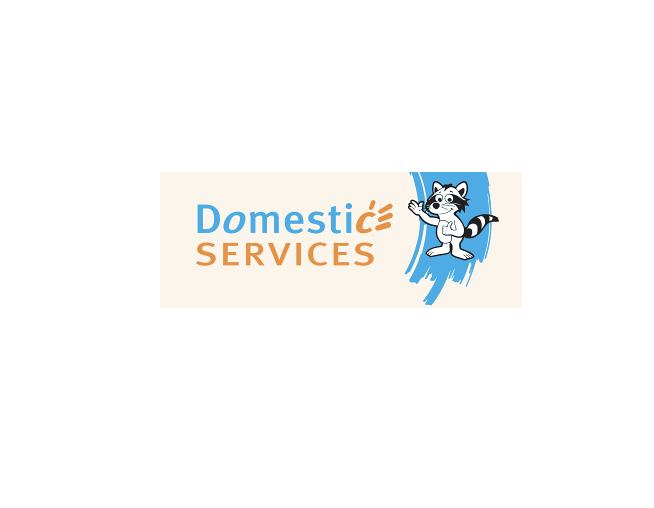 Domestic Services Schaerbeek - 1