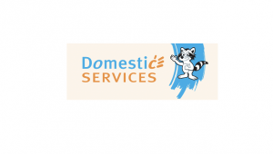 Domestic Services Schaerbeek