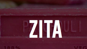 Zita Services SRL