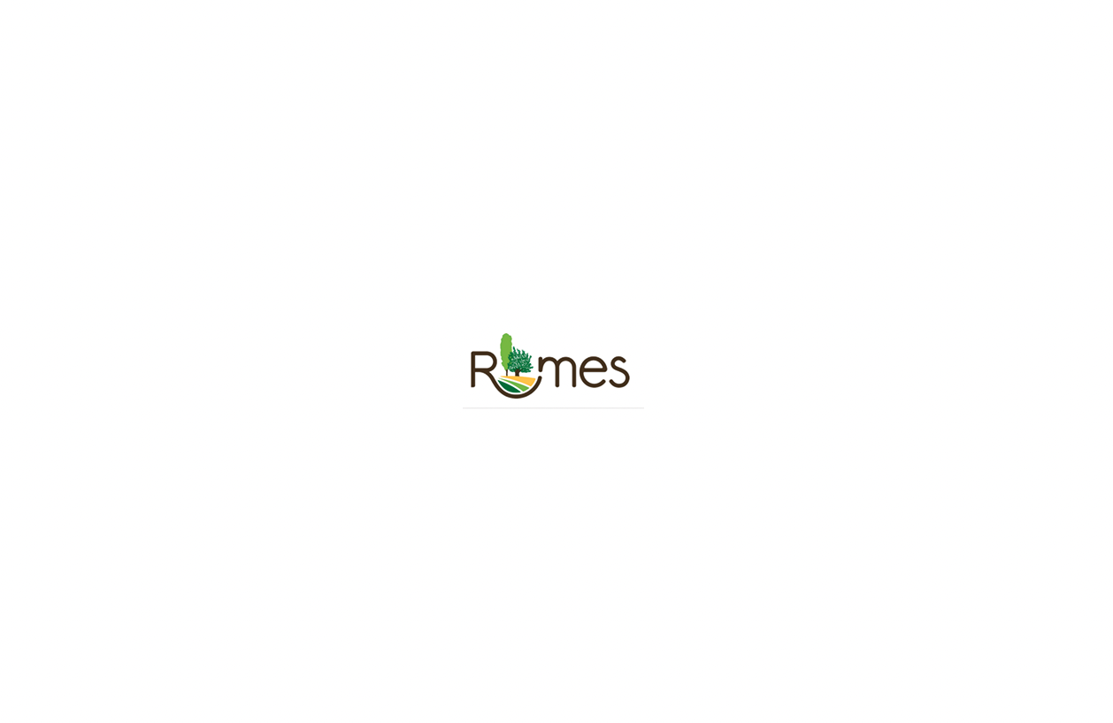 CPAS de Rumes - 1