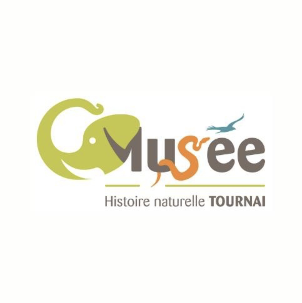 Musée d'Histoire naturelle et Vivarium de Tournai - 1