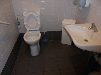 La toilette adaptée du shopping Cora - Chatelineau - 16