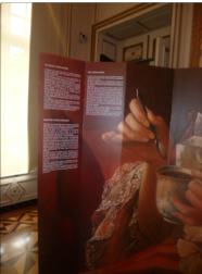 Château de Seneffe - 8