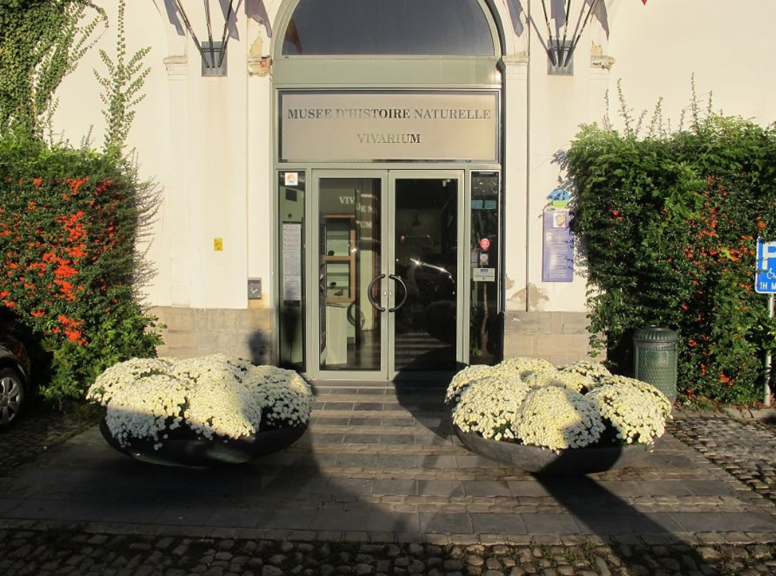 Musée d'Histoire naturelle et Vivarium de Tournai - 2