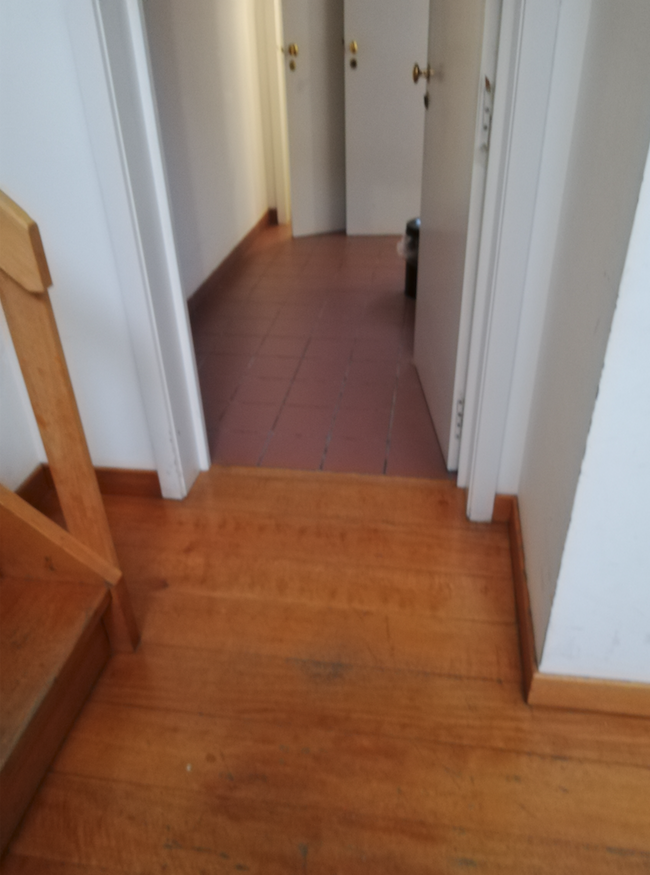 Château de Seneffe - 9