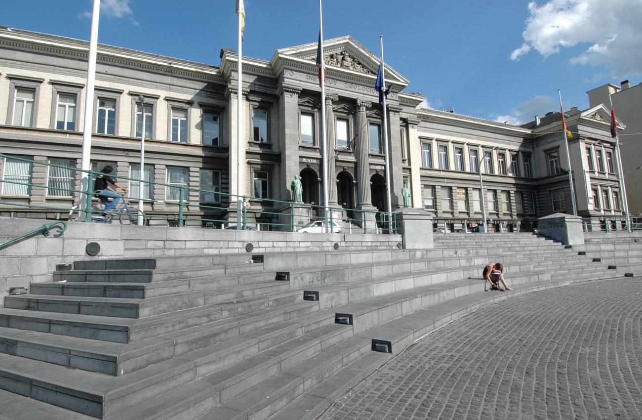 L’Aquarium-Muséum Universitaire de Liège  - 1