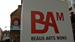 Musée Des Beaux-Arts de Mons