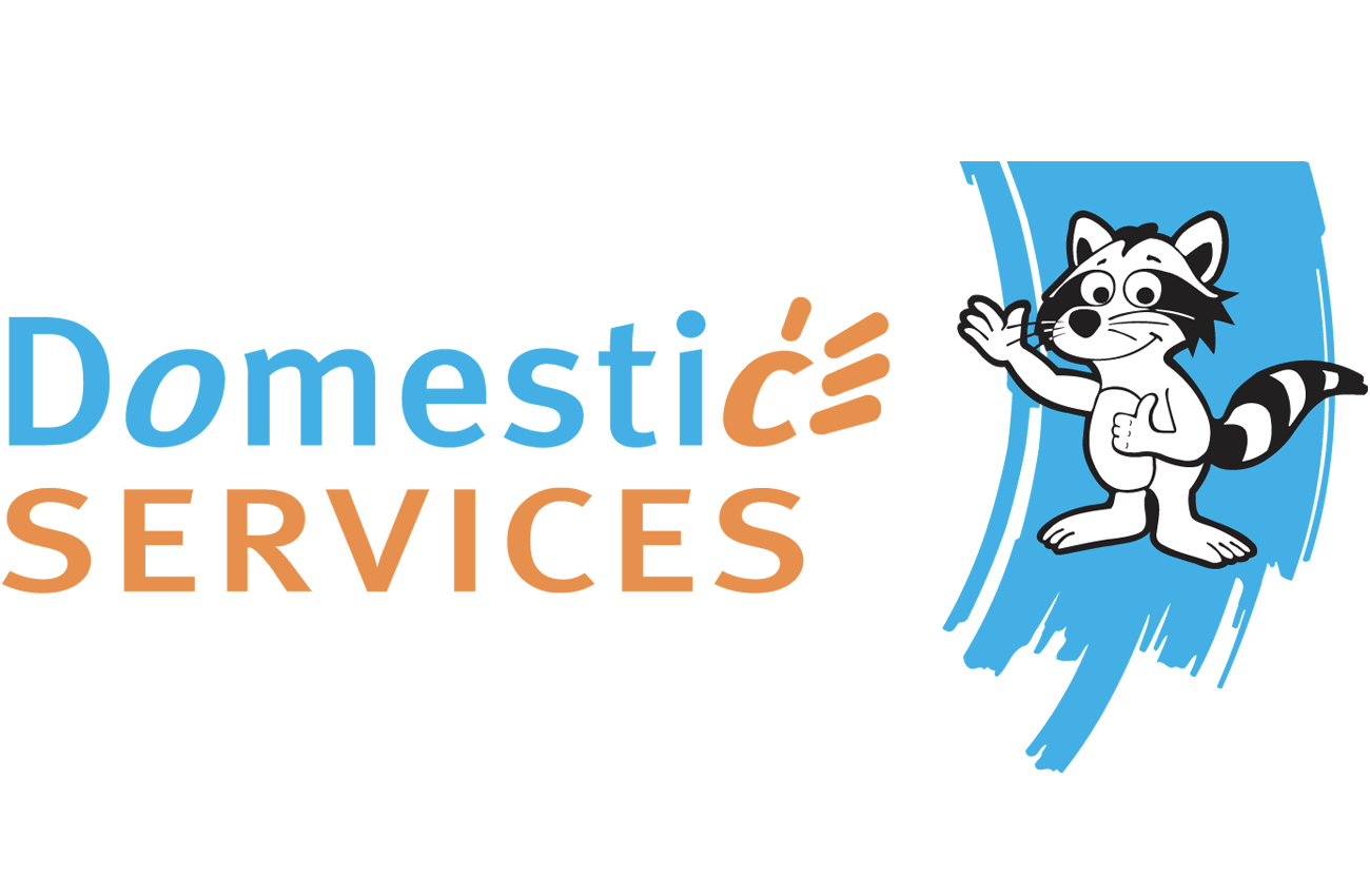 Domestic Services Leuze-en-Hainaut - 1