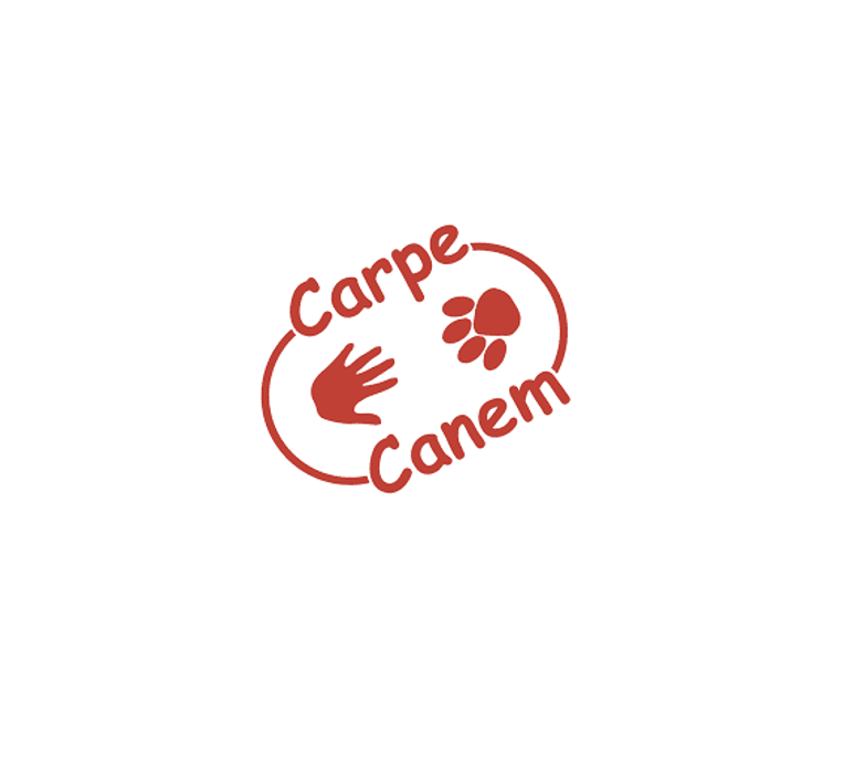 CARPE CANEM  asbl - 1