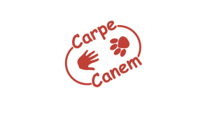 CARPE CANEM  asbl