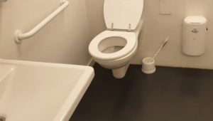 Toilettes PMR - Préhistomuséum 