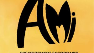 A.M.I. Institut d'enseignement secondaire spécialisé