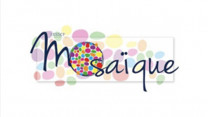 Établissement d'enseignement spécialisé secondaire de la Communauté française