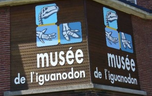 Musée de l'Iguanodon - 2