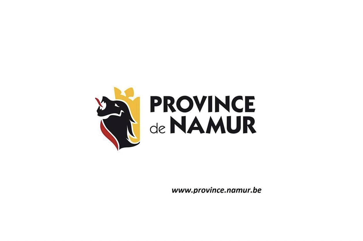 Service de Santé Mentale de la province de Namur  - Andenne - 1