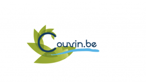 Piscine de Couvin