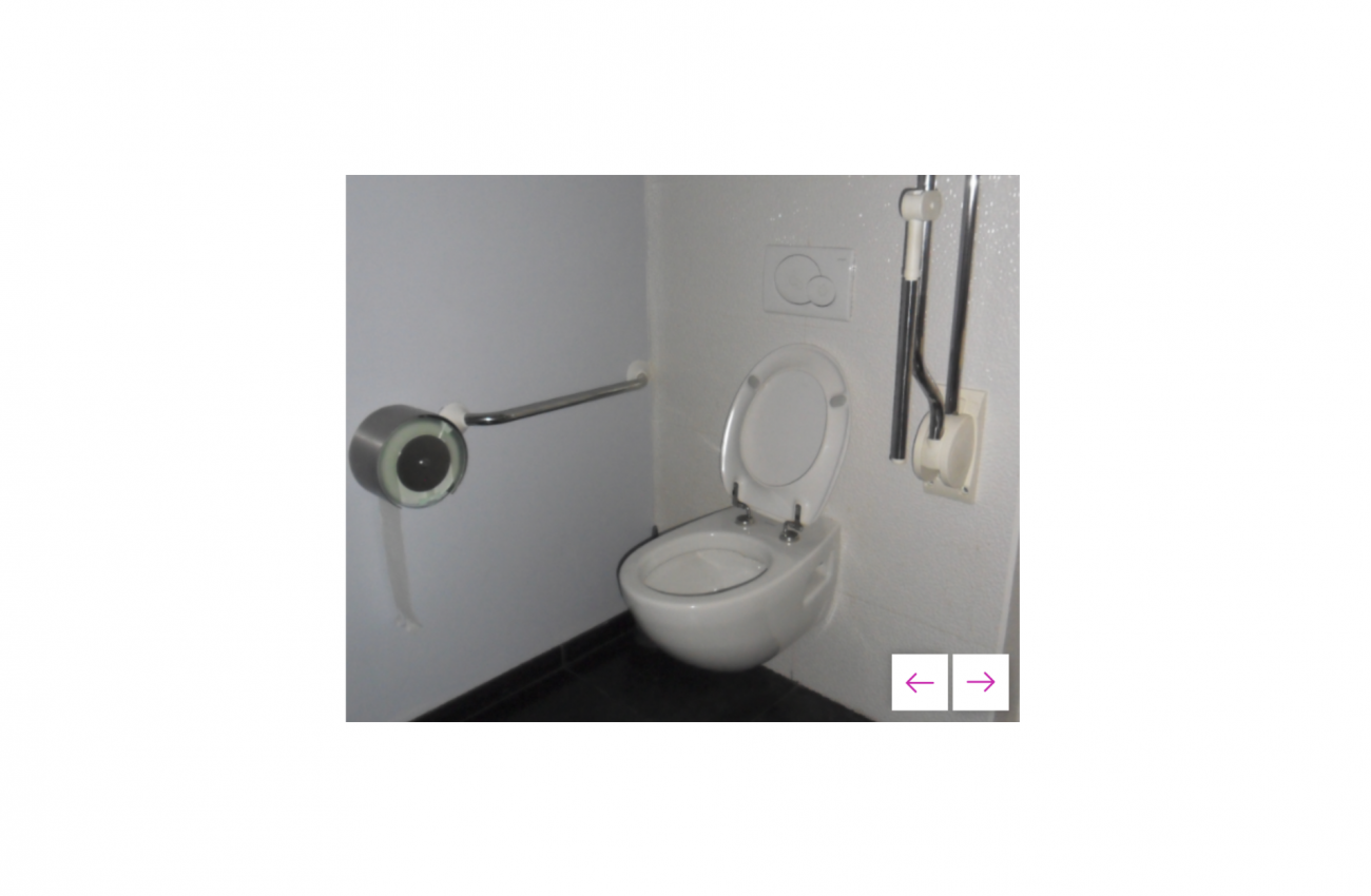 Toilette adaptée de la Mediacité - 1