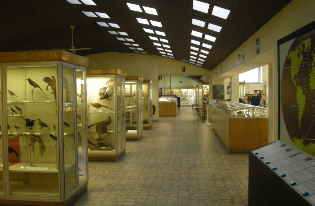 L’Aquarium-Muséum Universitaire de Liège  - 4