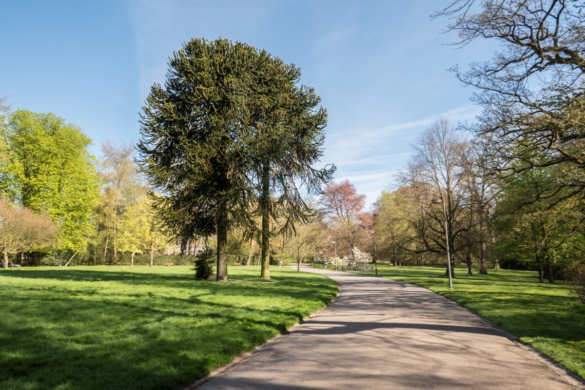 Parc de Mariemont - 5